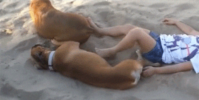 53ac2c9904e4a13d27f093ff3a4.gif