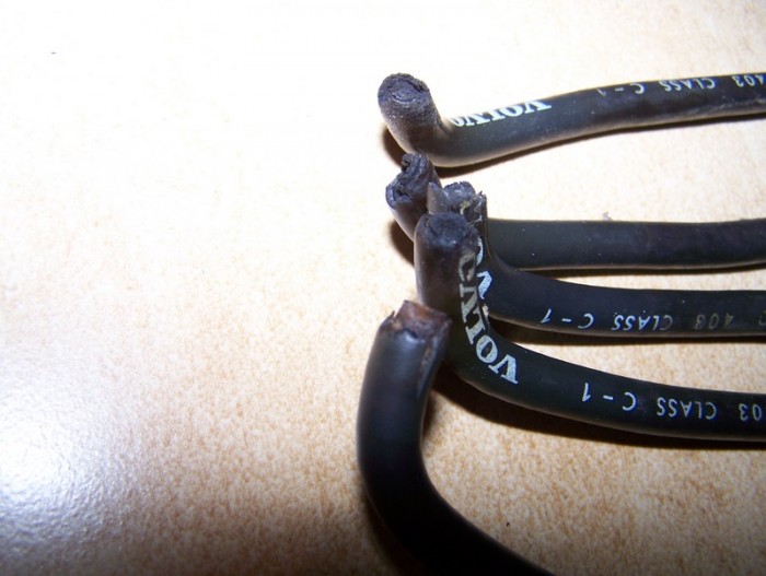 100_6006.JPG