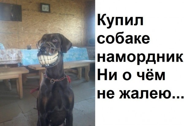 image (1).jpg