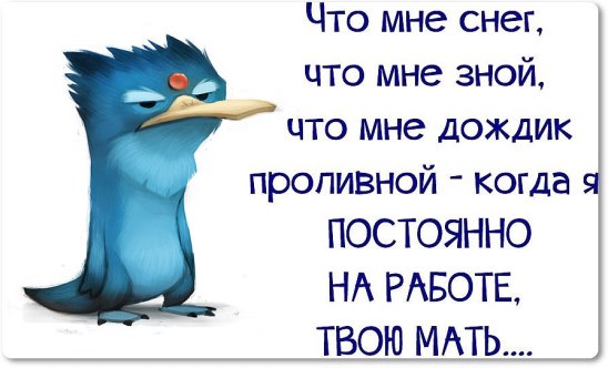 image (1).jpg
