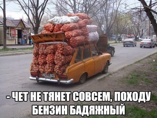 image (4).jpg