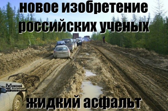 image (7).jpg