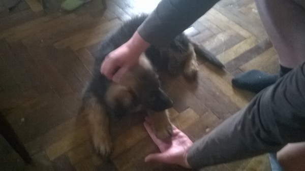 WP_20140825_026.jpg