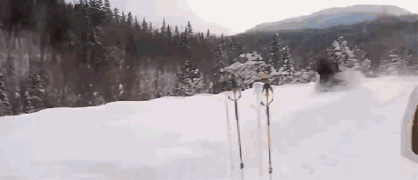 R.gif