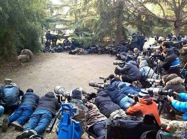 шо_там.jpg