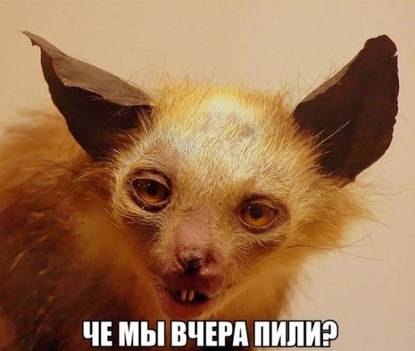 1457521301_podborka_dnevnaya_49.jpg