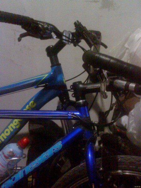 DC160709010.jpg