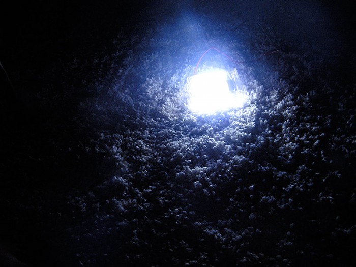 led_light_on_floor.jpg