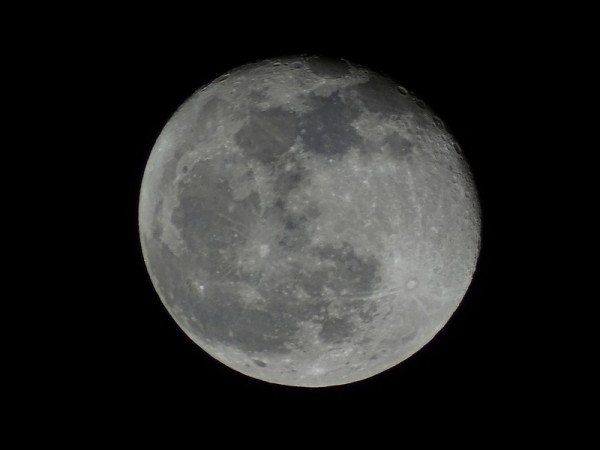 DSC00216.JPG