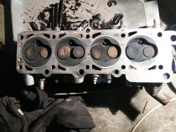 20161114_123125.jpg