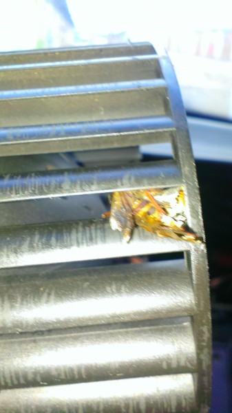 IMAG0527.jpg