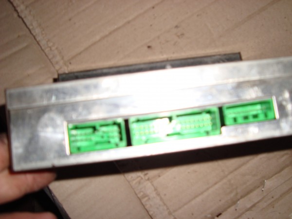 DSC03675.JPG