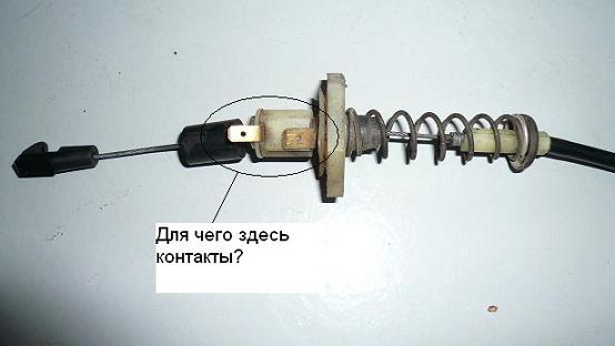 .JPG