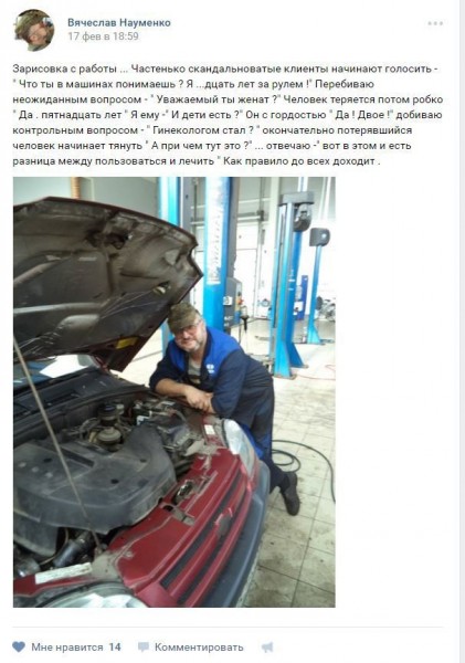 9295456.jpg