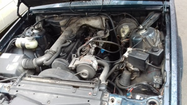 20170302_075014.jpg