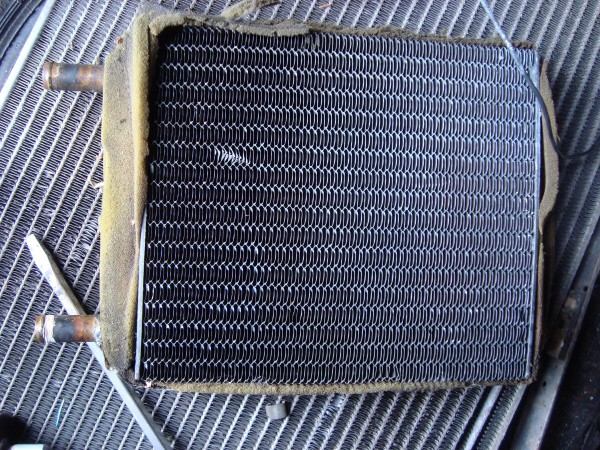 DSC04446.JPG
