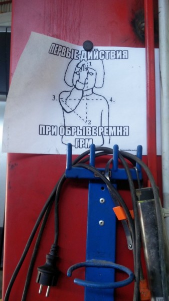 9401661.jpg