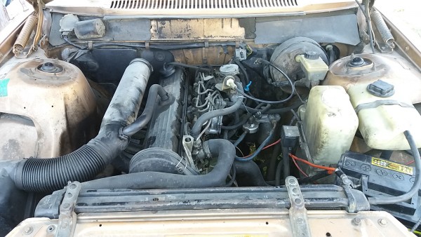 20170322_133300.jpg