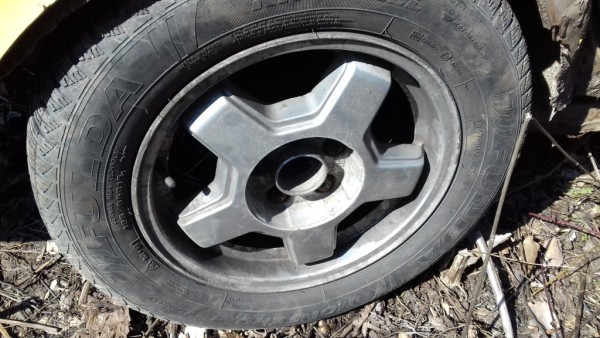 20170322_120256.jpg