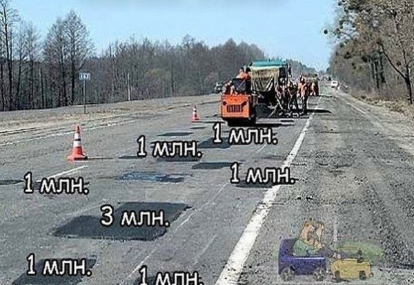 9564116.jpg
