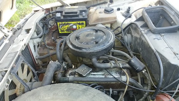 20170516_071408.jpg