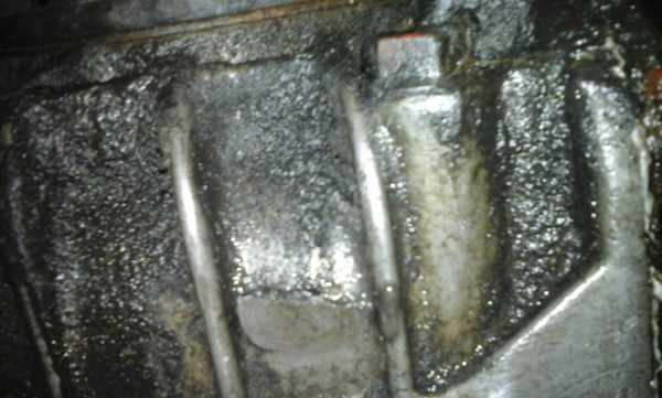 df87219s-960.jpg