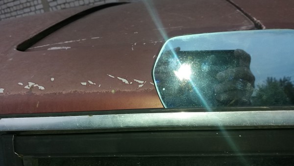20171002_072610.jpg