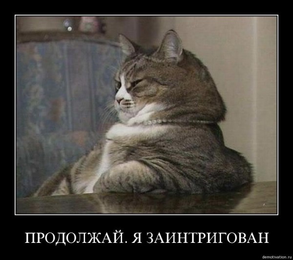 14255833607730.jpg