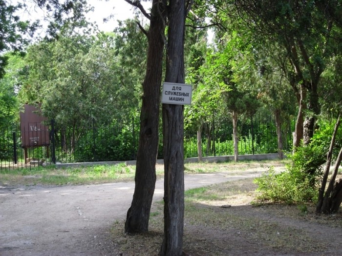 SAM_0254.JPG