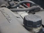DSC08818.JPG