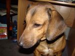 DSC01212.JPG