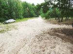 DSC04966PS.jpg